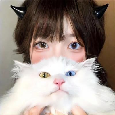 我的猪队友